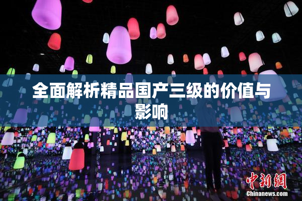 全面解析精品国产三级的价值与影响
