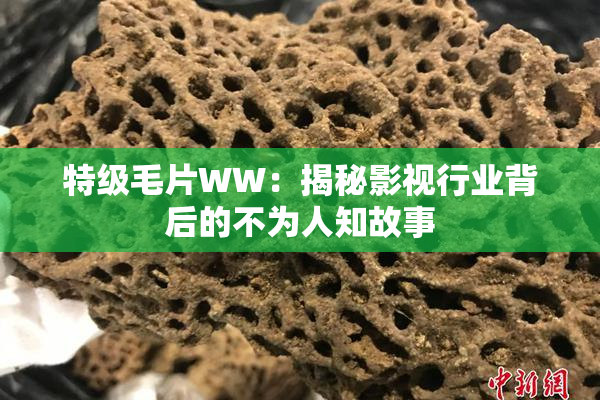 特级毛片WW：揭秘影视行业背后的不为人知故事