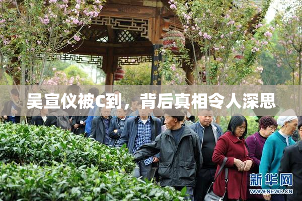 吴宣仪被C到，背后真相令人深思