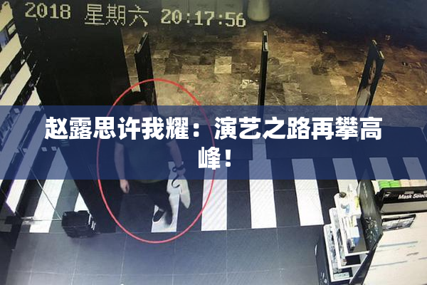 赵露思许我耀：演艺之路再攀高峰！