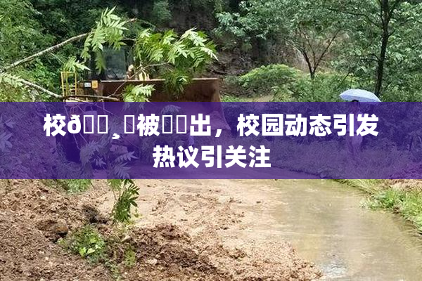 校🌸‌被❌‌出，校园动态引发热议引关注