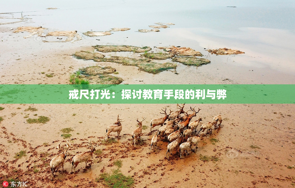 戒尺打光：探讨教育手段的利与弊