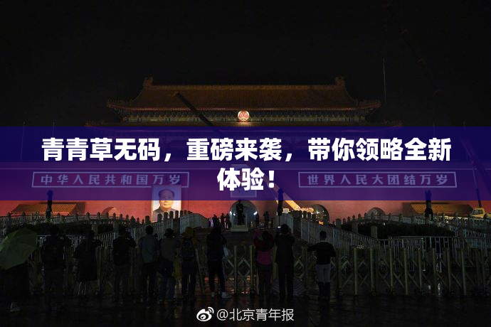 青青草无码，重磅来袭，带你领略全新体验！