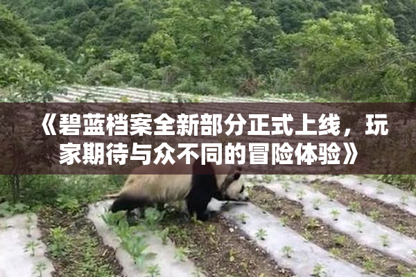 《碧蓝档案全新部分正式上线，玩家期待与众不同的冒险体验》