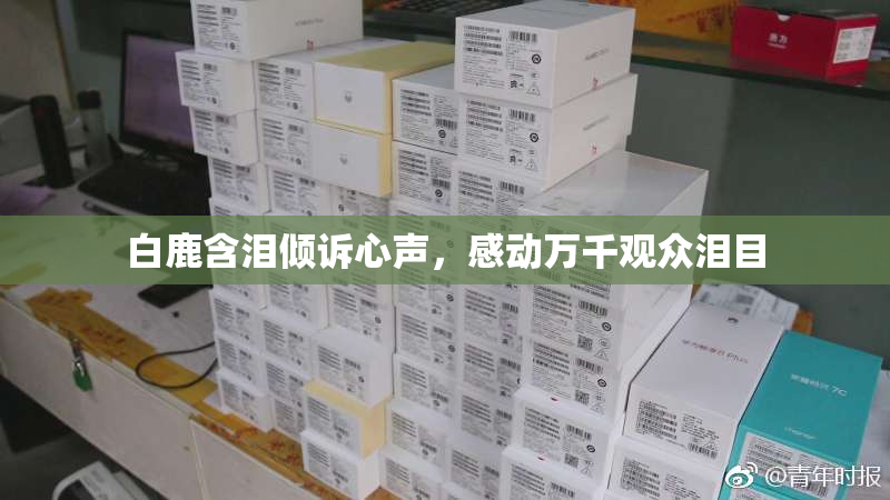 白鹿含泪倾诉心声，感动万千观众泪目