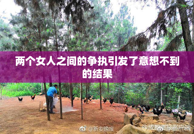 两个女人之间的争执引发了意想不到的结果