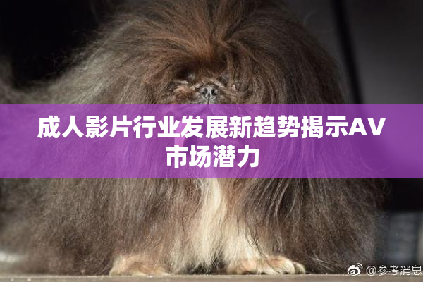 成人影片行业发展新趋势揭示AV市场潜力