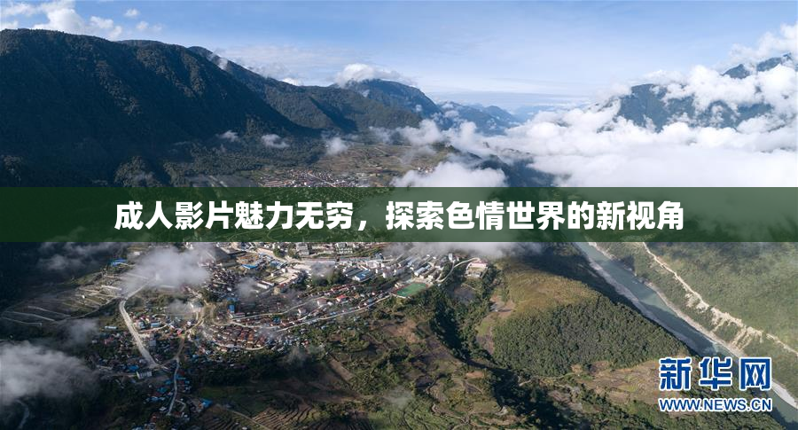 成人影片魅力无穷，探索色情世界的新视角