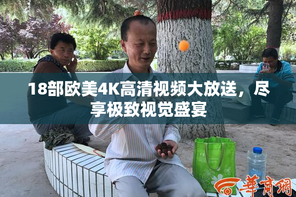 18部欧美4K高清视频大放送，尽享极致视觉盛宴
