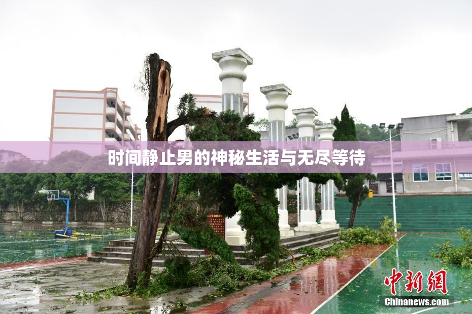 时间静止男的神秘生活与无尽等待