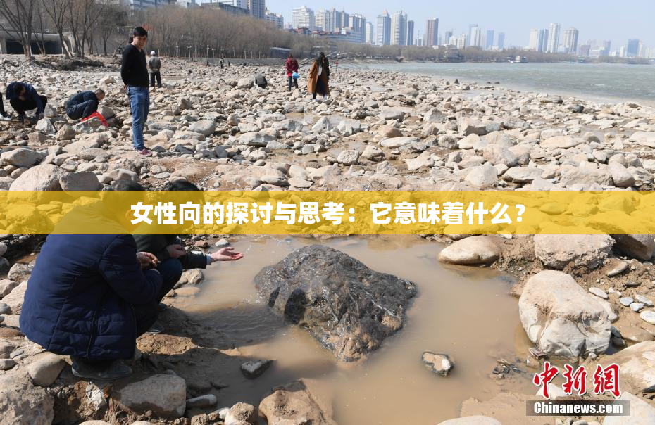 女性向的探讨与思考：它意味着什么？