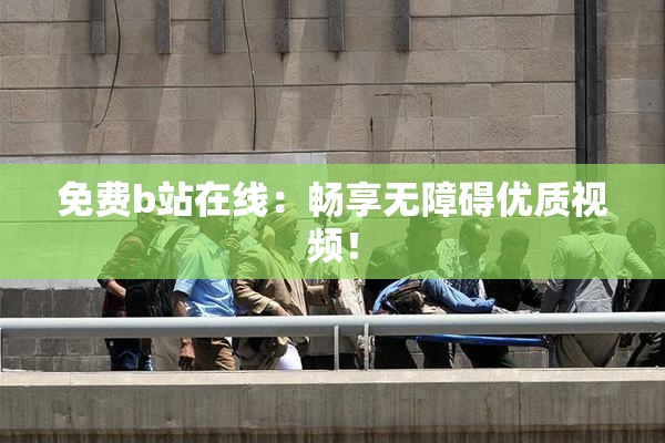 免费b站在线：畅享无障碍优质视频！