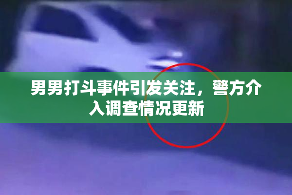 男男打斗事件引发关注，警方介入调查情况更新