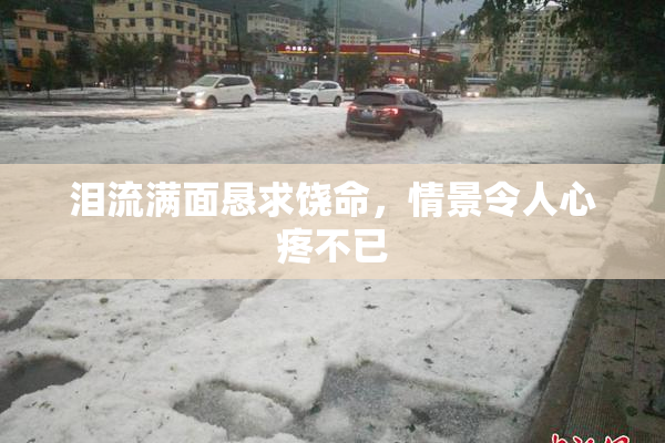 泪流满面恳求饶命，情景令人心疼不已