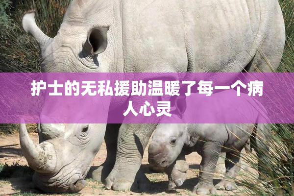 护士的无私援助温暖了每一个病人心灵
