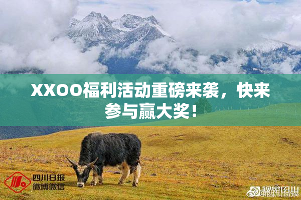 XXOO福利活动重磅来袭，快来参与赢大奖！