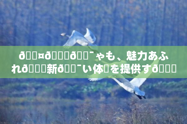 🖤🌃🔯ゃも、魅力あふれ🌃新🔯い体験を提供す🌃イベント開催！