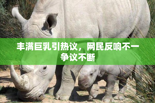 丰满巨乳引热议，网民反响不一争议不断