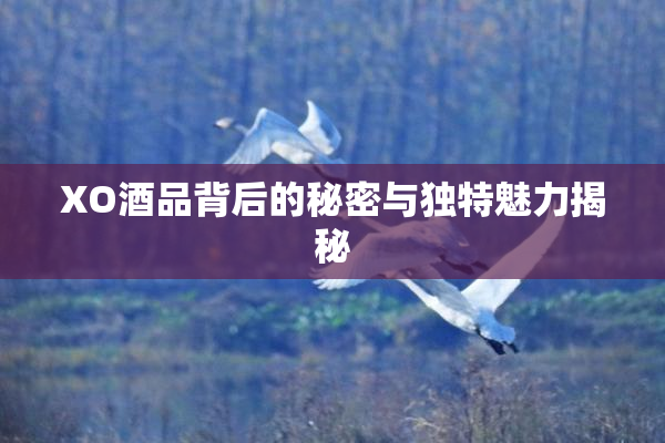 XO酒品背后的秘密与独特魅力揭秘