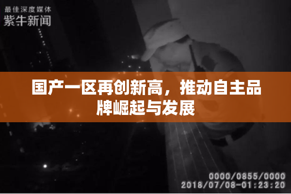 国产一区再创新高，推动自主品牌崛起与发展