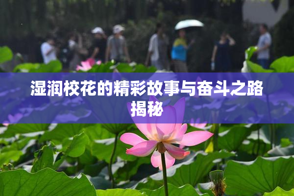 湿润校花的精彩故事与奋斗之路揭秘