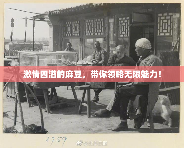 激情四溢的麻豆，带你领略无限魅力！