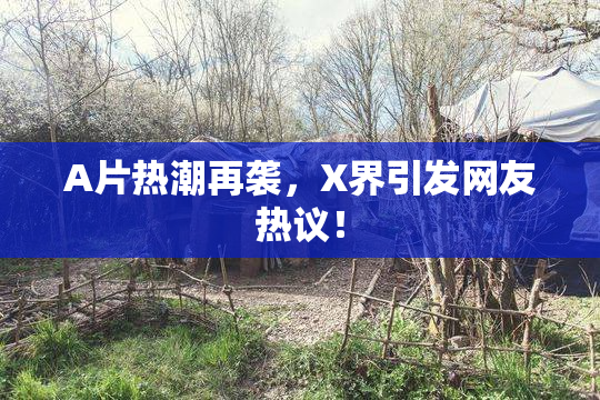 A片热潮再袭，X界引发网友热议！