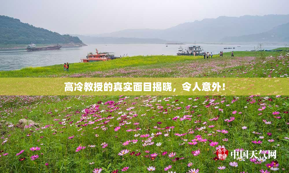 高冷教授的真实面目揭晓，令人意外！