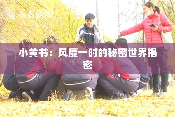 小黄书：风靡一时的秘密世界揭密