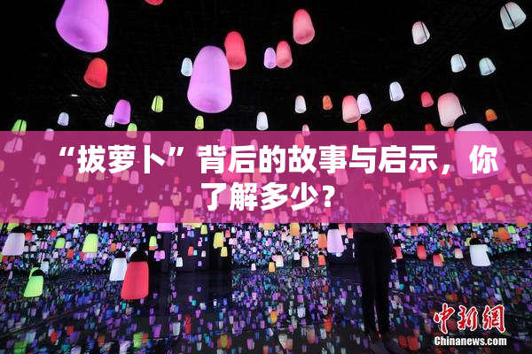 “拔萝卜”背后的故事与启示，你了解多少？