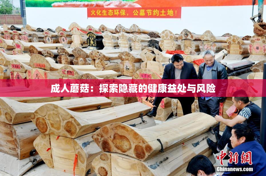 成人蘑菇：探索隐藏的健康益处与风险