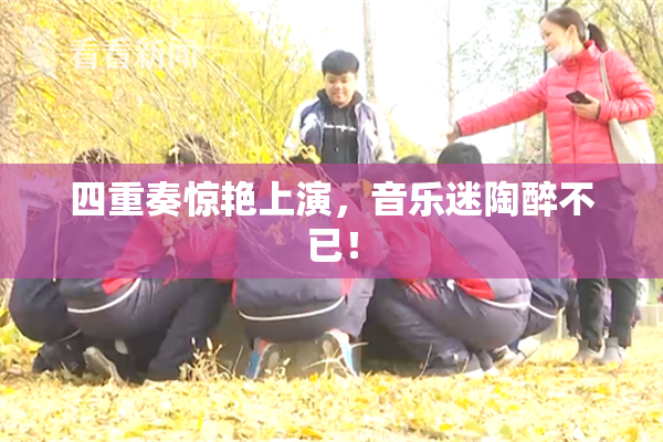 四重奏惊艳上演，音乐迷陶醉不已！