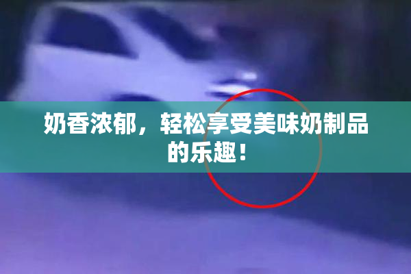 奶香浓郁，轻松享受美味奶制品的乐趣！
