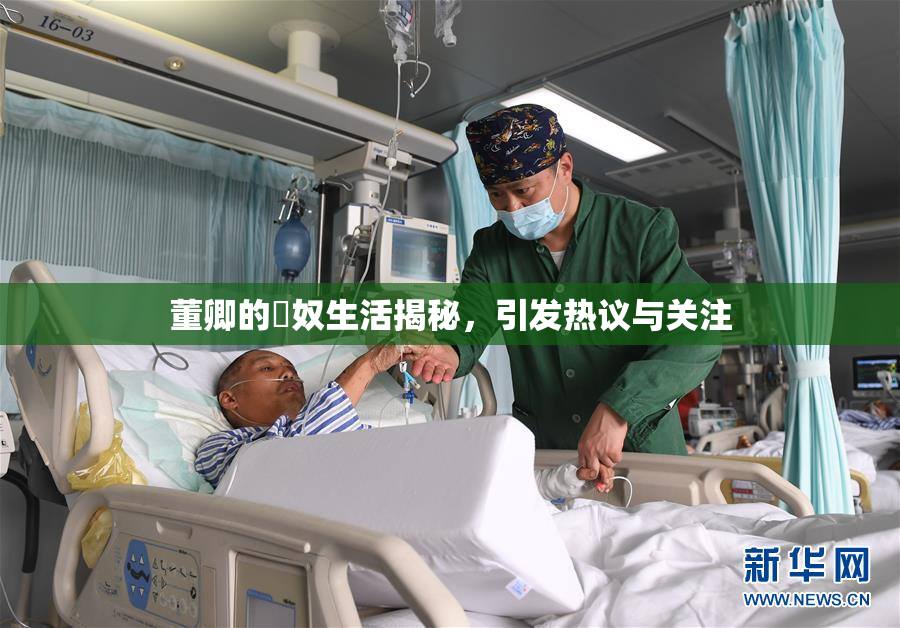 董卿的婬奴生活揭秘，引发热议与关注
