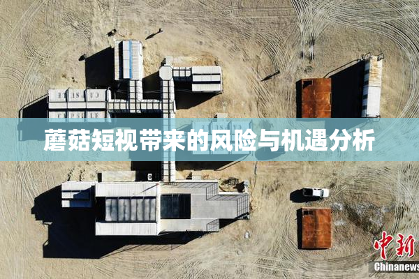 蘑菇短视带来的风险与机遇分析