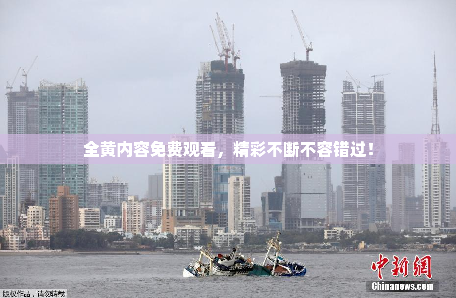 全黄内容免费观看，精彩不断不容错过！