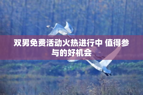 双男免费活动火热进行中 值得参与的好机会