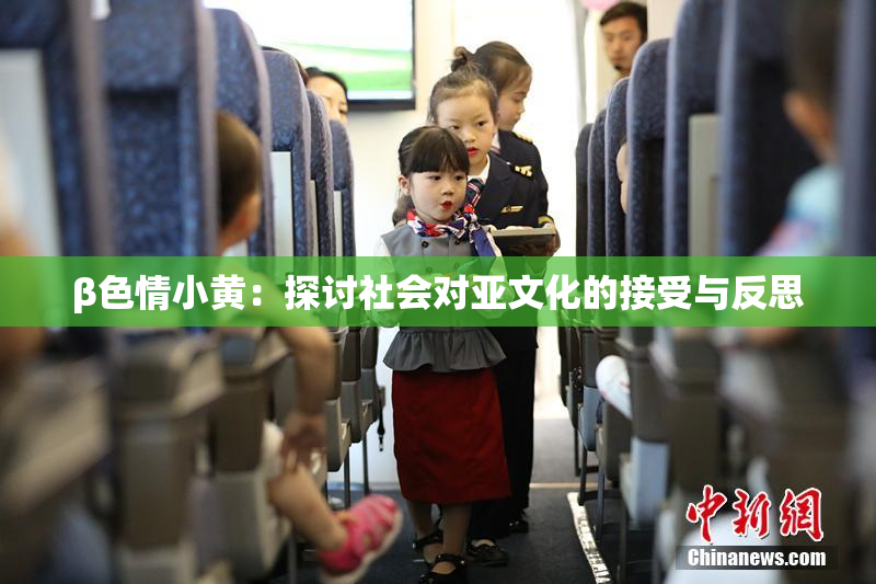 β色情小黄：探讨社会对亚文化的接受与反思