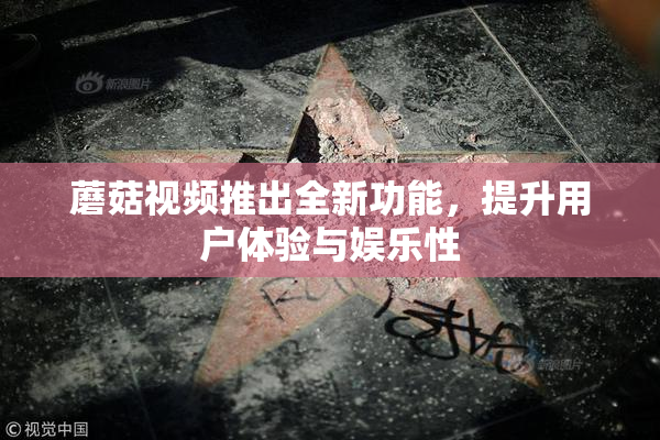蘑菇视频推出全新功能，提升用户体验与娱乐性