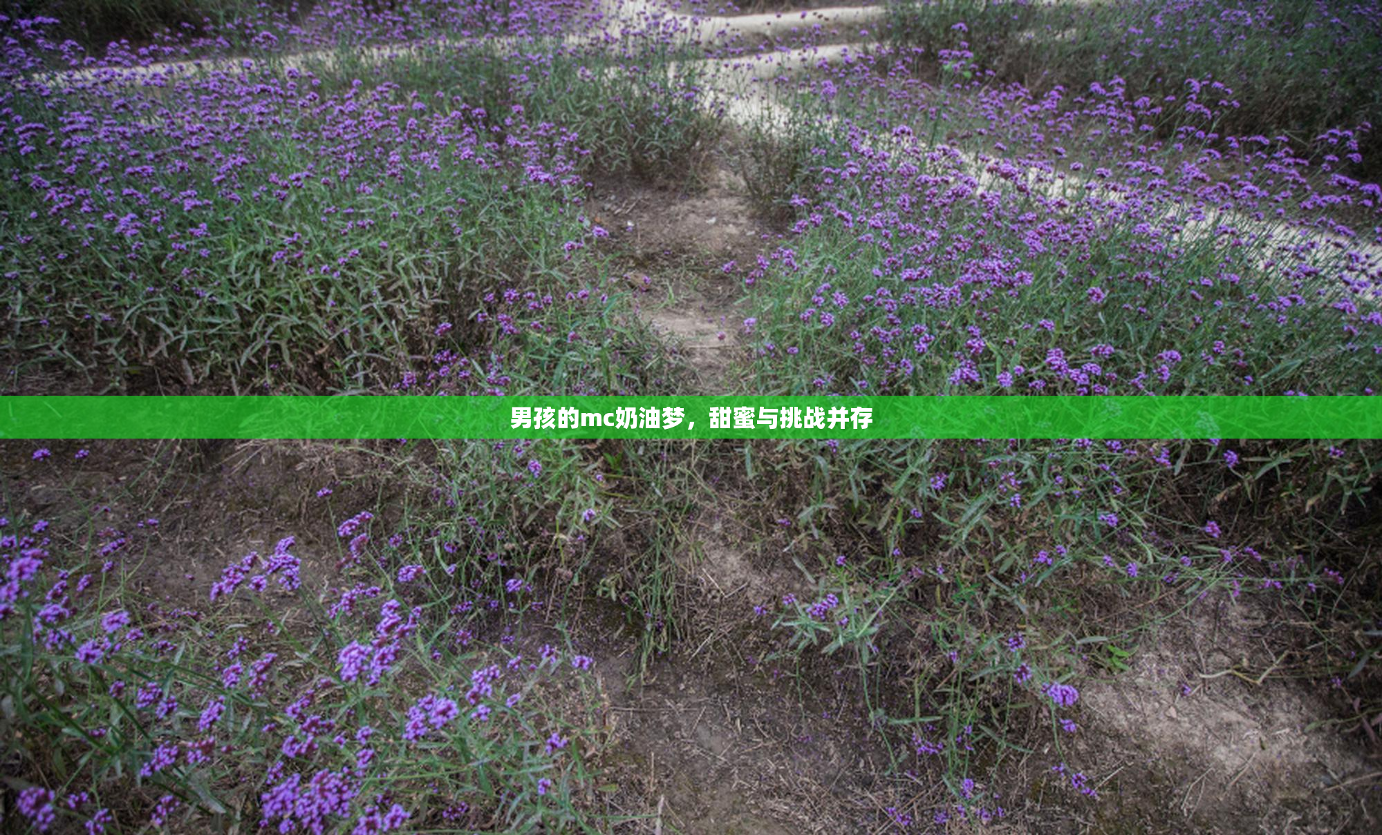 男孩的mc奶油梦，甜蜜与挑战并存