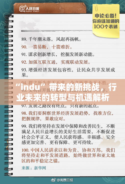 “indu”带来的新挑战，行业未来的转型与机遇解析