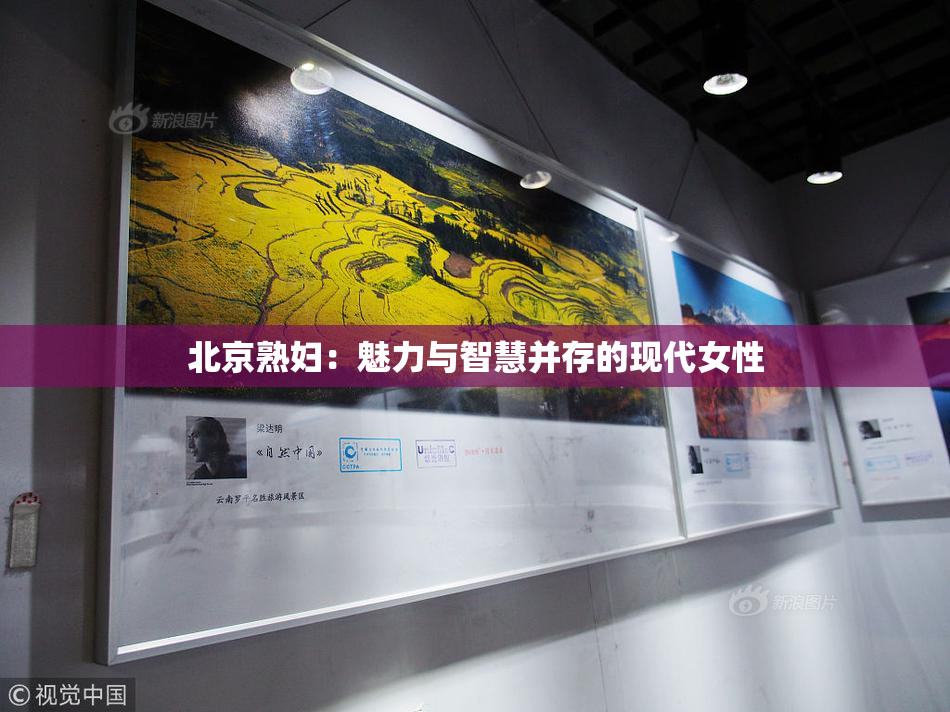 北京熟妇：魅力与智慧并存的现代女性
