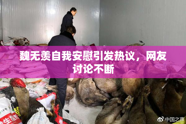 魏无羡自我安慰引发热议，网友讨论不断