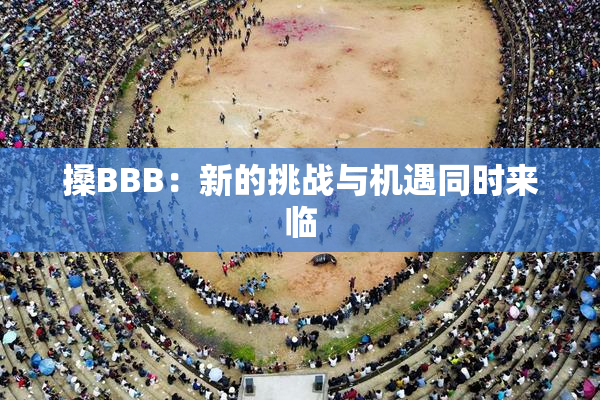 搡BBB：新的挑战与机遇同时来临