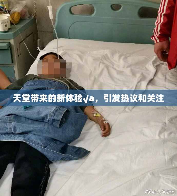 天堂带来的新体验√a，引发热议和关注