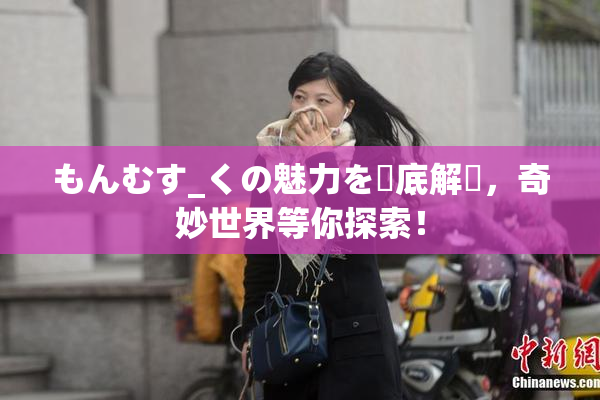 もんむす_くの魅力を徹底解説，奇妙世界等你探索！