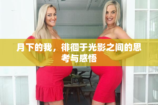 月下的我，徘徊于光影之间的思考与感悟