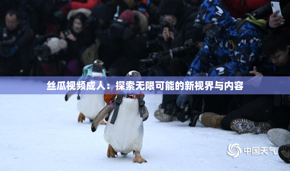丝瓜视频成人：探索无限可能的新视界与内容