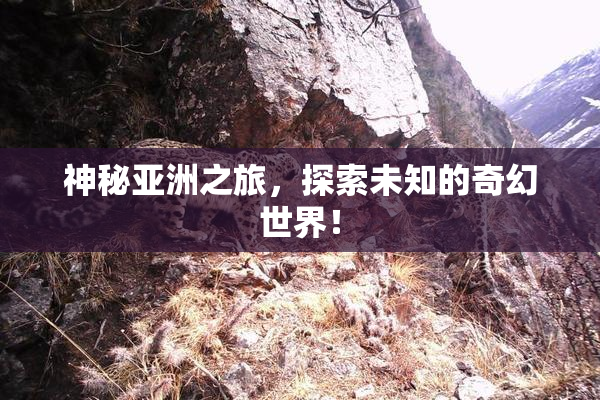 神秘亚洲之旅，探索未知的奇幻世界！