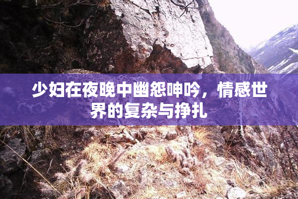 少妇在夜晚中幽怨呻吟，情感世界的复杂与挣扎